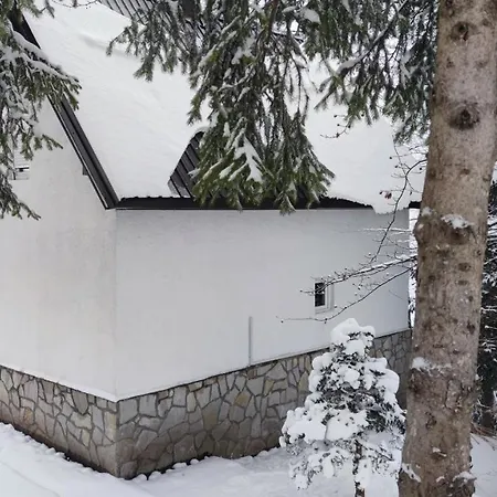 Sova * Копаоник