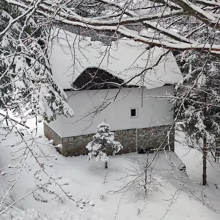 Villa Sova Kopaonik