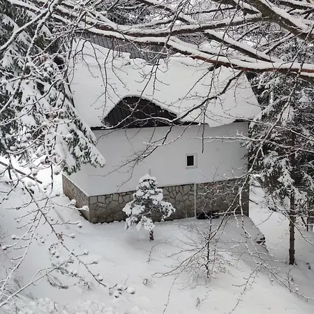 Вилла Sova Копаоник